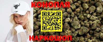 a pvp Будённовск